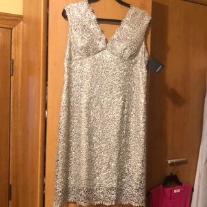 Brand new sparkly dress from Lord & Taylor